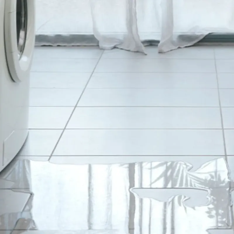Appliance Leak Cleanup in Hamilton, GA