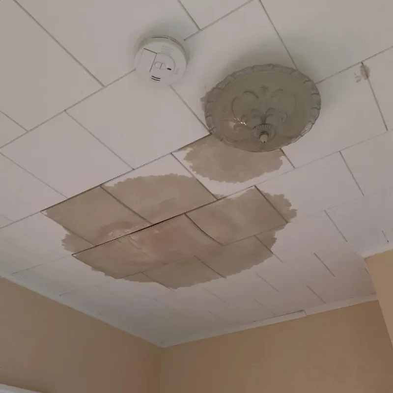 Ceiling Water Damage Repair in Hamilton, GA