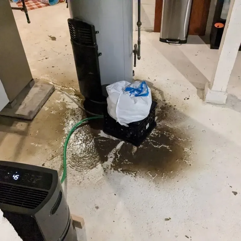 Sewage Backup Cleanup Service in Hamilton, GA